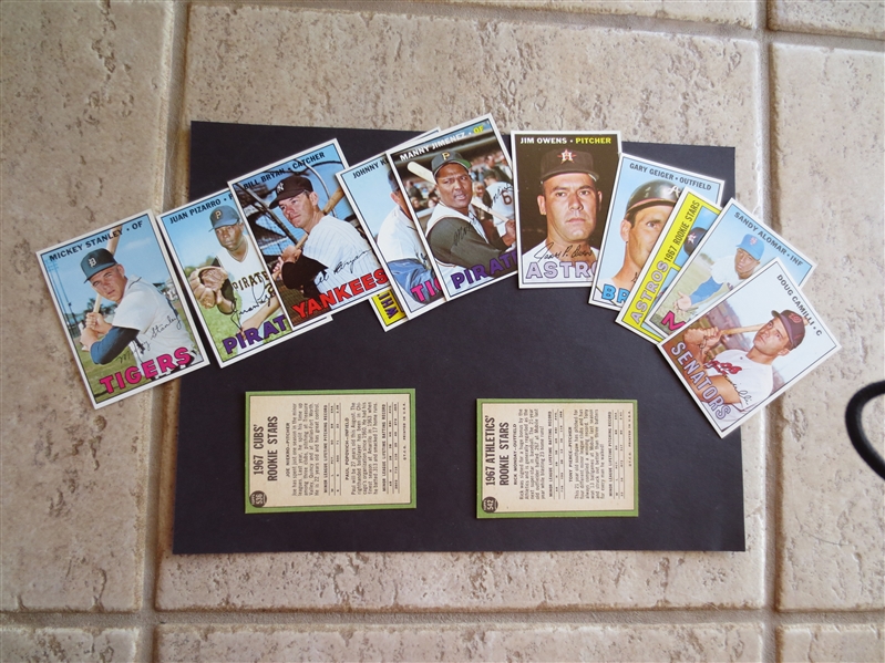 (13) 1967 Topps High Number Last Series Commons in Beautiful Condition---send to PSA?