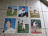 (6) different 1972 Los Angeles Dodgers Team Issue Premium Color Photos  8" x 10"