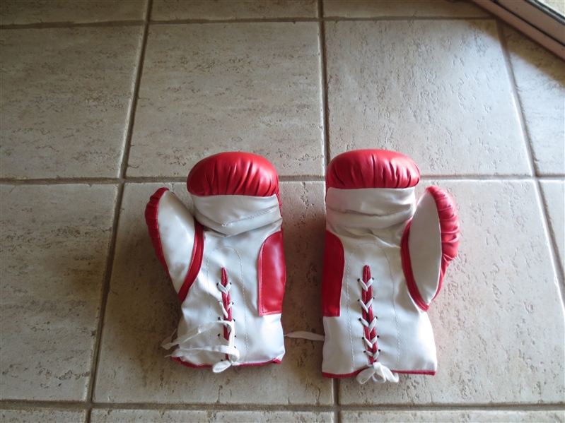 (2) Vintage Boxing Gloves made by xXx