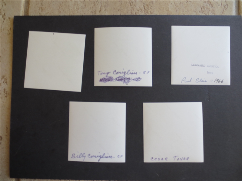 (5) Original 1966-70 Baseball Photo Snapshots: Tony Conigliaro, Billy Conigliaro, Cesar Tovar, Paul Blair, and Jim Lefevre